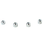 ALL BALLS WHEEL NUT KIT