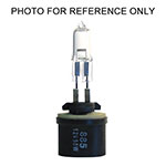 SOLERO BULB