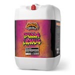 Genius Detail Bubba-Licious Premium Shampoo