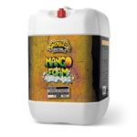 Genius Detail Mango Foam Foaming Shampoo