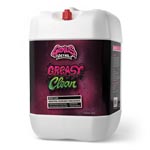 Genius Detail Quick Shine Ceramic Spray Protection