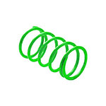 EPI ATV/UTV Primary Spring