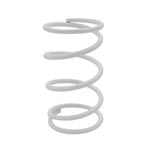 EPI Primary Clutch Spring