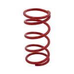 EPI Primary Clutch Spring