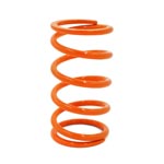 EPI Secondary Clutch Spring