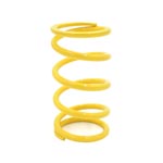EPI Secondary Clutch Spring