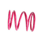 EPI Secondary Clutch Spring