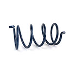 EPI Secondary Clutch Spring