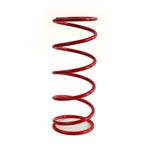 EPI Primary Clutch Spring